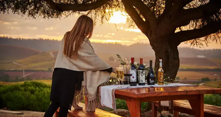 A tasting table set under the old tree of Casas del Bosque at sunset