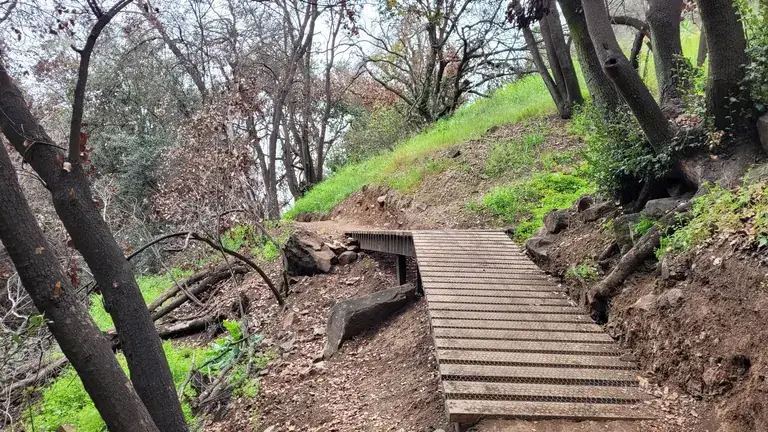 Wooden steps along the Manquehuito trail
