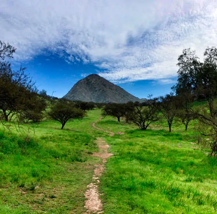 The green slopes and summit of Cerro Manquehuito