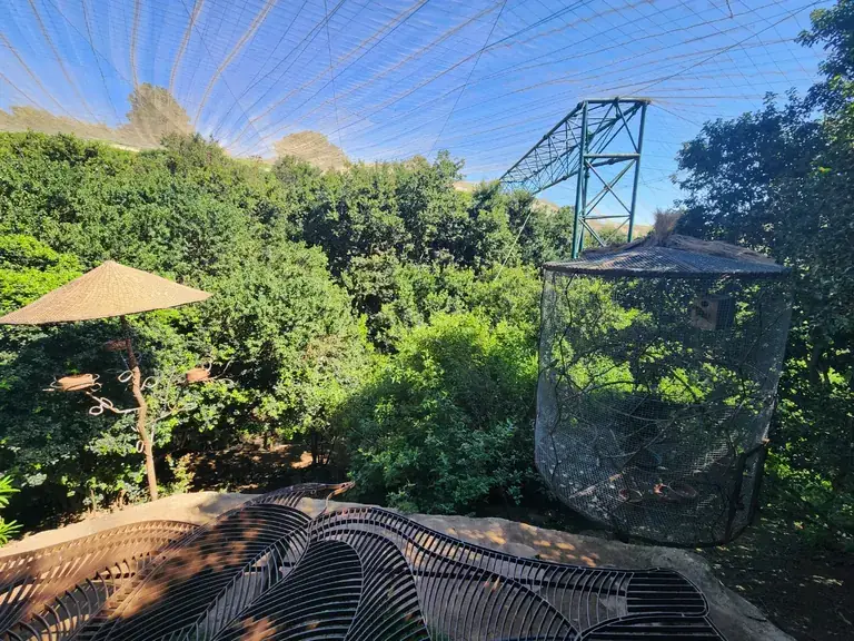 The aviary and native forest at Parque Tricao